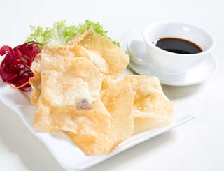 Producto Wantán Frito