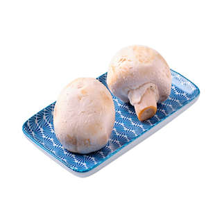 Producto CHAMPIÑON FRESCO